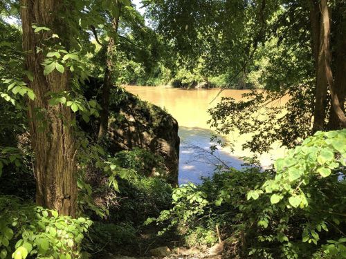 A serene river scene framed by lush green trees and foliage, with calm, muddy water reflecting the surrounding nature.