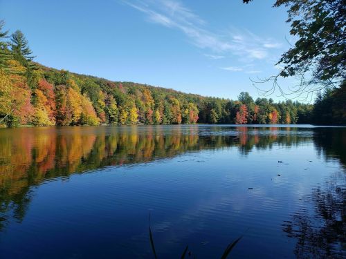 A serene lake surrounded by vibrant autumn foliage reflecting on the water under a clear blue sky.