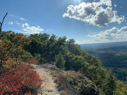 A scenic view from a mountain top, featuring lush greenery, colorful foliage, and a bright blue sky with clouds.
