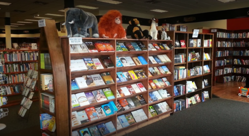 A cozy bookstore with shelves of books and plush animal toys on display, creating a welcoming atmosphere.