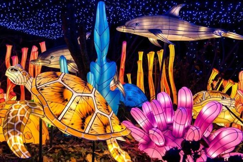 Colorful illuminated lanterns of dolphins, turtles, and coral create a vibrant underwater scene at night.