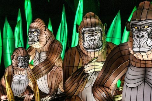 Four illuminated gorilla lanterns surrounded by green foliage, showcasing intricate designs and vibrant colors.