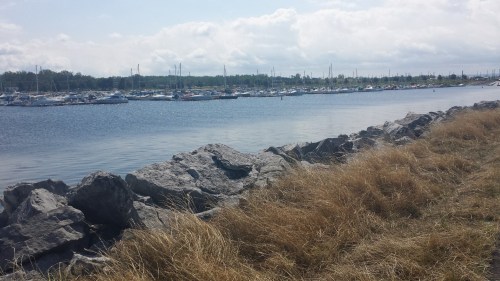A calm marina with boats docked, surrounded by rocky shores and tall grass under a partly cloudy sky.