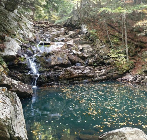 A serene waterfall cascades over rocks into a clear pool, surrounded by lush greenery and autumn leaves.