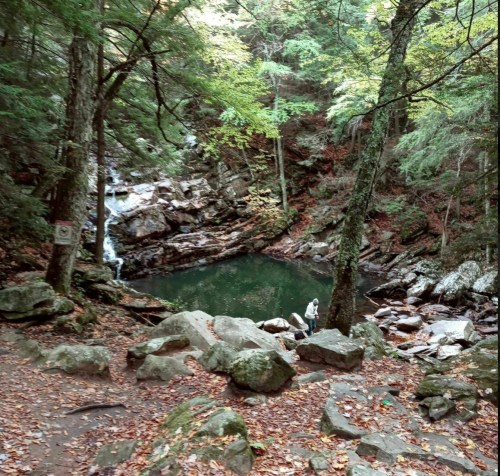A serene forest scene with a small waterfall and a pool, surrounded by rocks and autumn foliage.