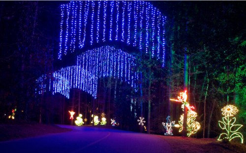 A pathway illuminated by colorful holiday lights, featuring blue hanging lights and vibrant floral decorations.