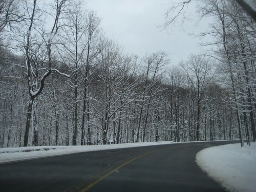 A winding road through a snowy landscape with bare trees and a cloudy sky.