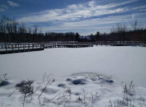 A snowy landscape with a frozen pond and wooden boardwalks under a blue sky with wispy clouds.