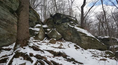 A snowy landscape featuring large rocks and tree roots in a forested area.