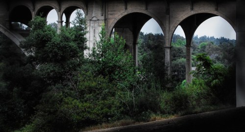 A view of a large stone bridge with arches, surrounded by lush greenery and trees.