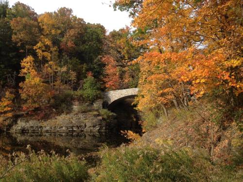 A stone bridge arches over a calm waterway, surrounded by vibrant autumn foliage in shades of orange and yellow.