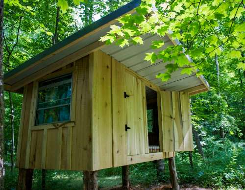 A small wooden cabin elevated on stilts, surrounded by lush green trees and sunlight filtering through the leaves.