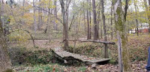 A wooden bridge crosses a small ravine in a forest with autumn leaves and trees in the background.