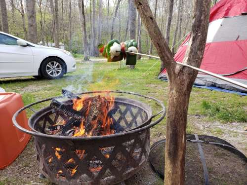 A campfire with skewered vegetables roasting over the flames, surrounded by trees and a tent in the background.