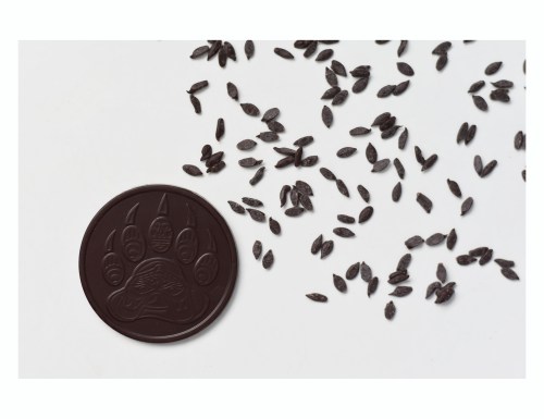 A round chocolate coin with a paw print design next to scattered small black seeds on a white background.