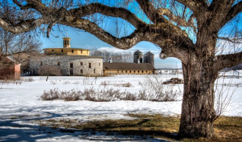 A snowy landscape featuring a historic stone building and a barn, framed by a large tree with bare branches.