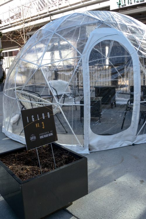 A clear igloo structure with a sign reading "Igloo No. 3" next to a planter, set in an outdoor area.