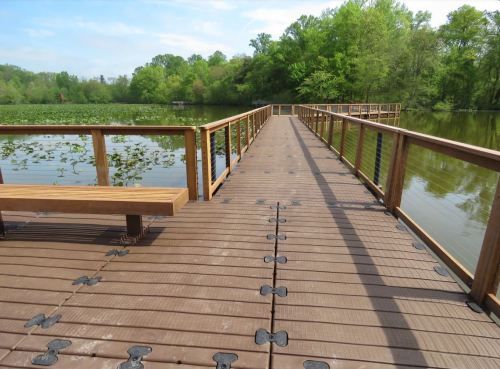 A wooden dock extends over a calm lake, surrounded by lush greenery and lily pads under a clear blue sky.