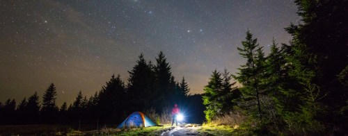 A person with a flashlight stands near a tent under a starry night sky, surrounded by tall trees.