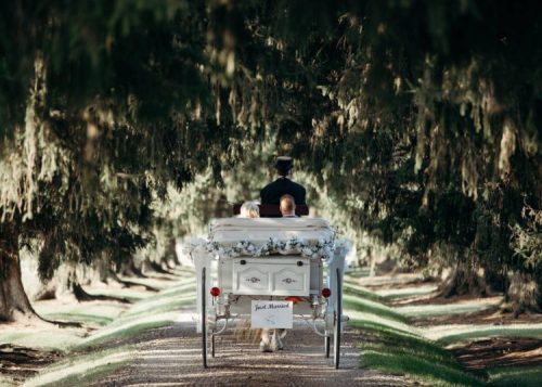 A horse-drawn carriage travels down a tree-lined path, with a couple seated inside, surrounded by greenery.