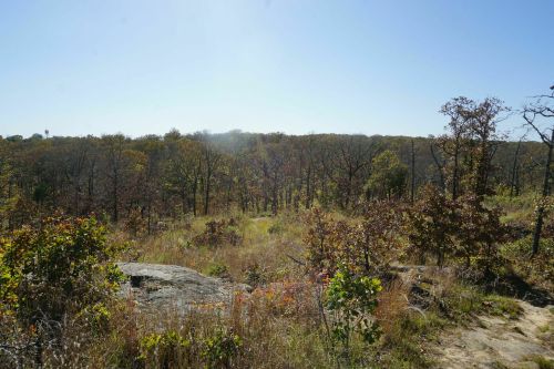 A sunlit landscape featuring trees and rocky terrain, with autumn foliage in a clear blue sky.