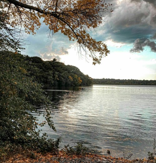 A serene lake surrounded by trees, with autumn leaves and a cloudy sky reflecting on the water's surface.