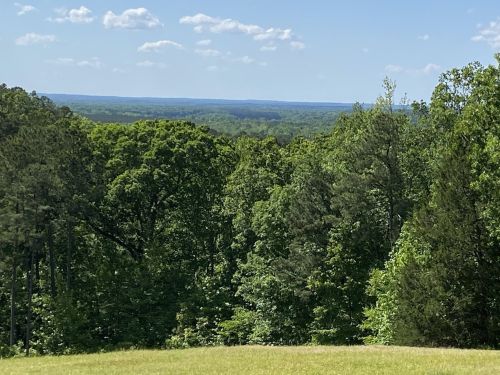 Lush green trees stretch across a landscape under a clear blue sky, with distant hills visible on the horizon.