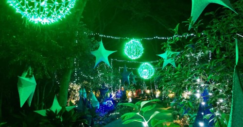 A vibrant garden path illuminated with green and blue lights, featuring star-shaped decorations and lush greenery.