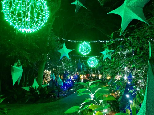 A festive garden path illuminated with green lights, stars, and colorful decorations, creating a magical atmosphere.