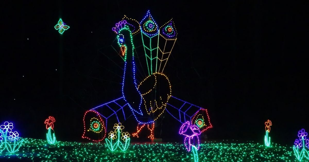 Drive Through 2 Miles Dotted With Over One Million Lights At Holiday
