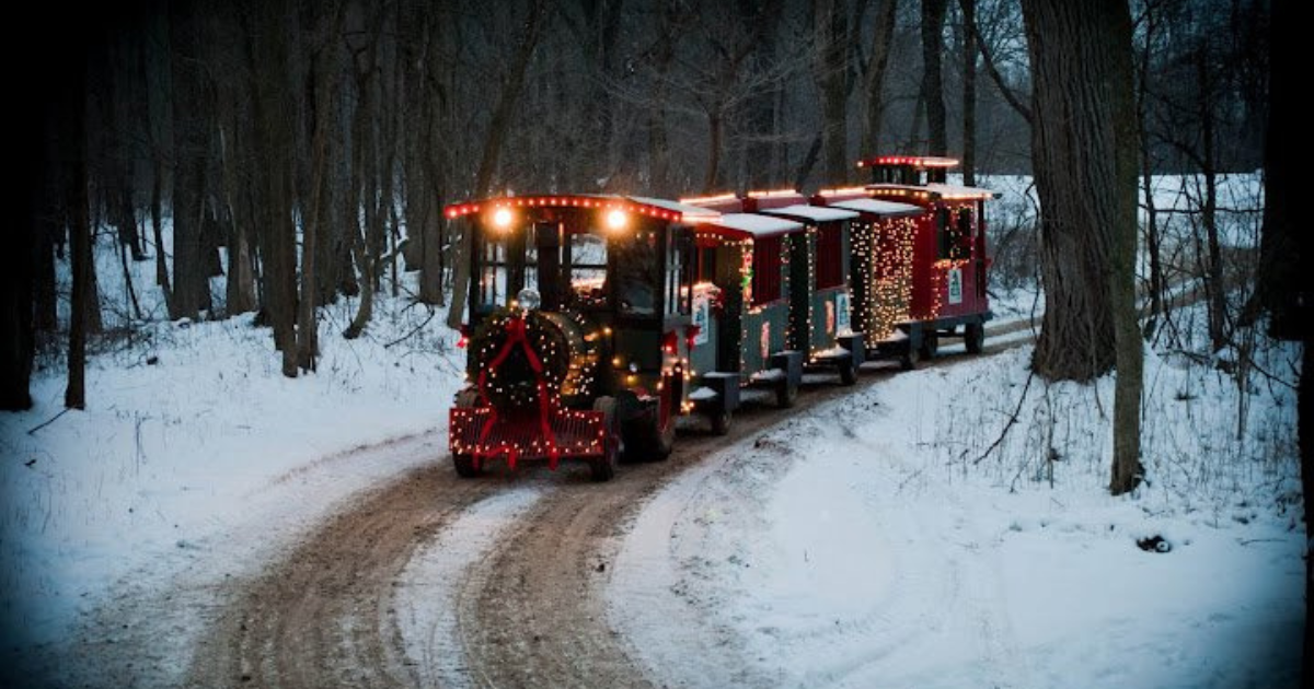 The Best Christmas Farms In Michigan: Peacock Family Farm