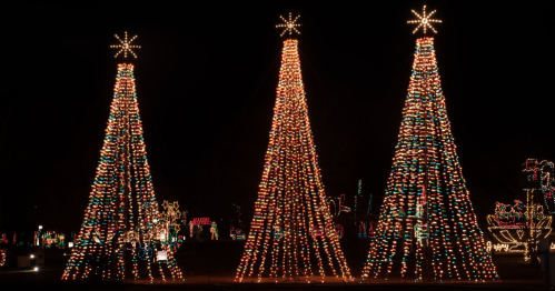 Three large, illuminated Christmas trees adorned with colorful lights, set against a dark night sky.