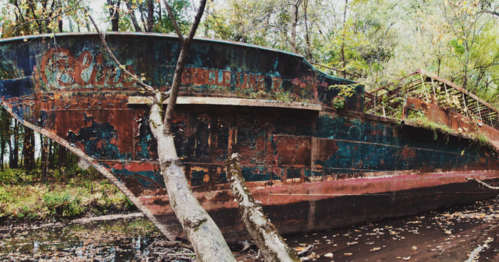 An abandoned, rusted shipwreck surrounded by trees and fallen leaves in a serene, overgrown setting.
