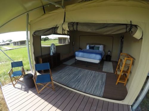 A cozy glamping tent interior featuring a bed, chairs, and a fan, surrounded by green grass.