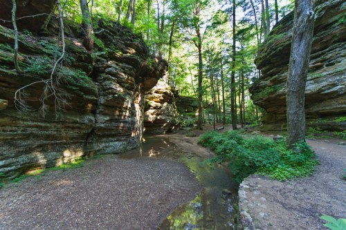A serene forest scene featuring rocky cliffs, lush greenery, and a small stream winding through the landscape.