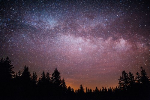 A starry night sky with the Milky Way arching over a silhouette of pine trees.