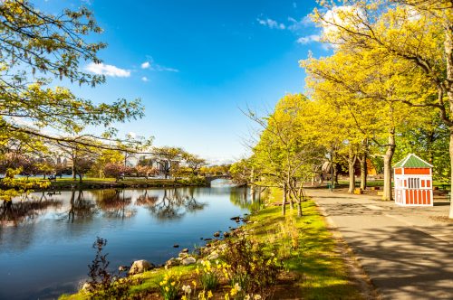 A serene park scene with a calm pond, vibrant green trees, and a colorful kiosk under a clear blue sky.