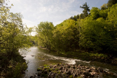 A serene river flows through a lush green landscape, surrounded by trees under a clear blue sky.