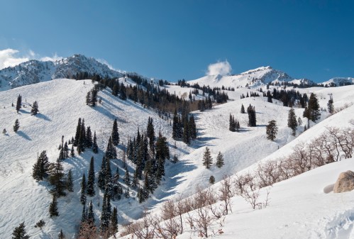 Snow-covered mountains with evergreen trees under a clear blue sky. Gentle slopes and distant peaks create a serene landscape.