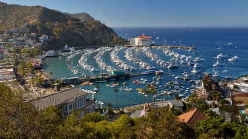 A scenic view of a marina filled with boats, surrounded by hills and buildings under a clear blue sky.
