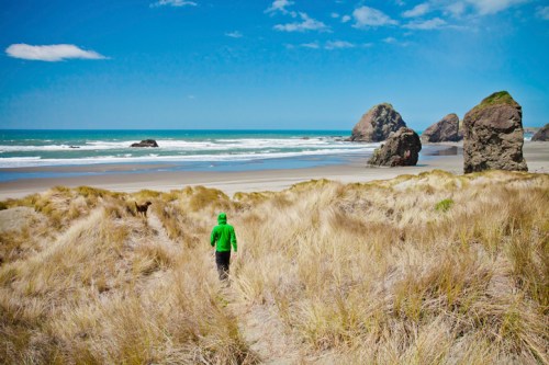 A person in a green hoodie walks along a sandy beach surrounded by tall grass and rocky formations under a blue sky.