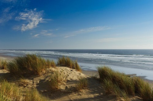 A serene beach scene with sand dunes and tall grass under a clear blue sky and gentle ocean waves.