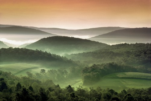 A serene landscape of rolling hills and valleys shrouded in mist, illuminated by a soft, warm sunrise.