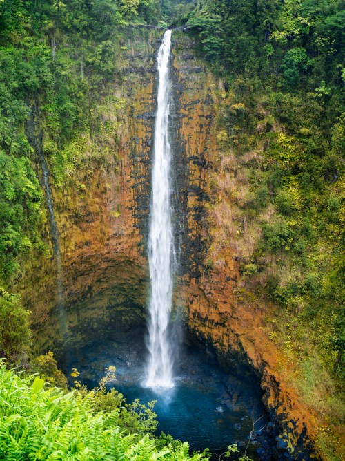 A stunning waterfall cascades down a rocky cliff into a deep pool, surrounded by lush green vegetation.