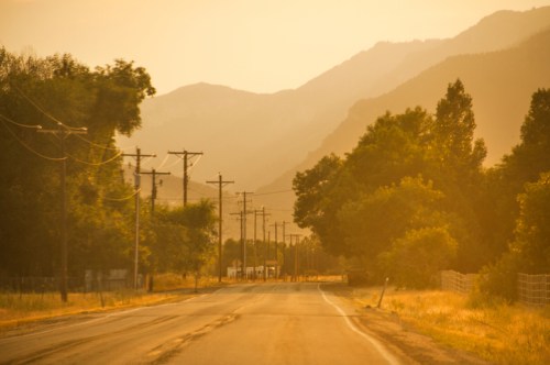 A winding road through a golden landscape, with mountains in the background and trees lining the sides.