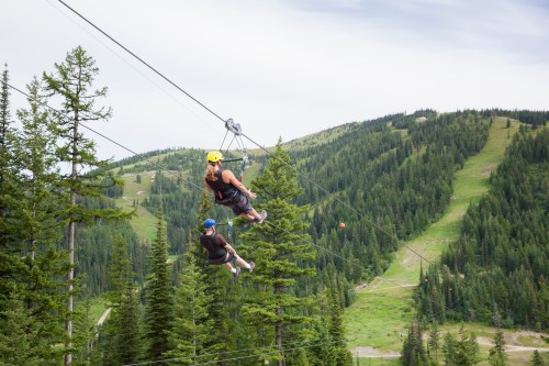 Two people ziplining through a forested mountain landscape, surrounded by tall trees and rolling hills.