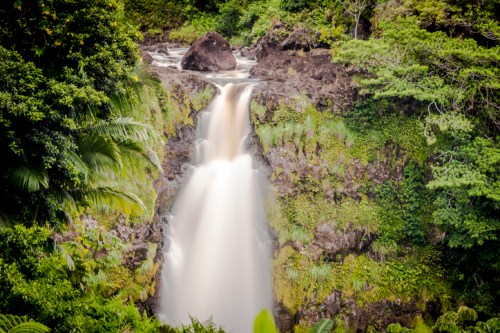 A serene waterfall cascading down rocky cliffs, surrounded by lush green foliage and tropical plants.