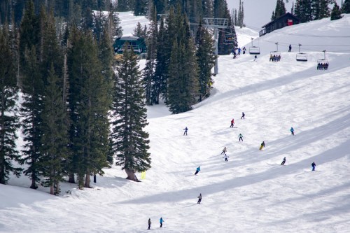 Skiers navigate a snowy slope with trees and a ski lift in the background on a sunny day.