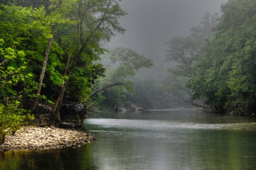 A serene river flows through a misty forest, surrounded by lush green trees and rocky banks.