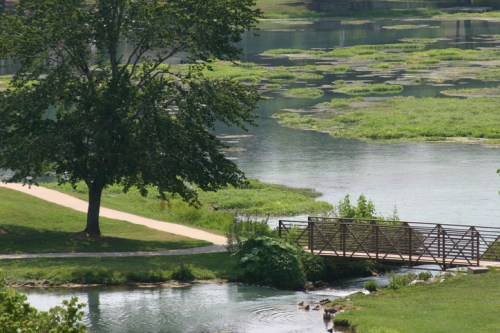 A serene landscape featuring a tree by a river, a small bridge, and lush greenery with water plants.